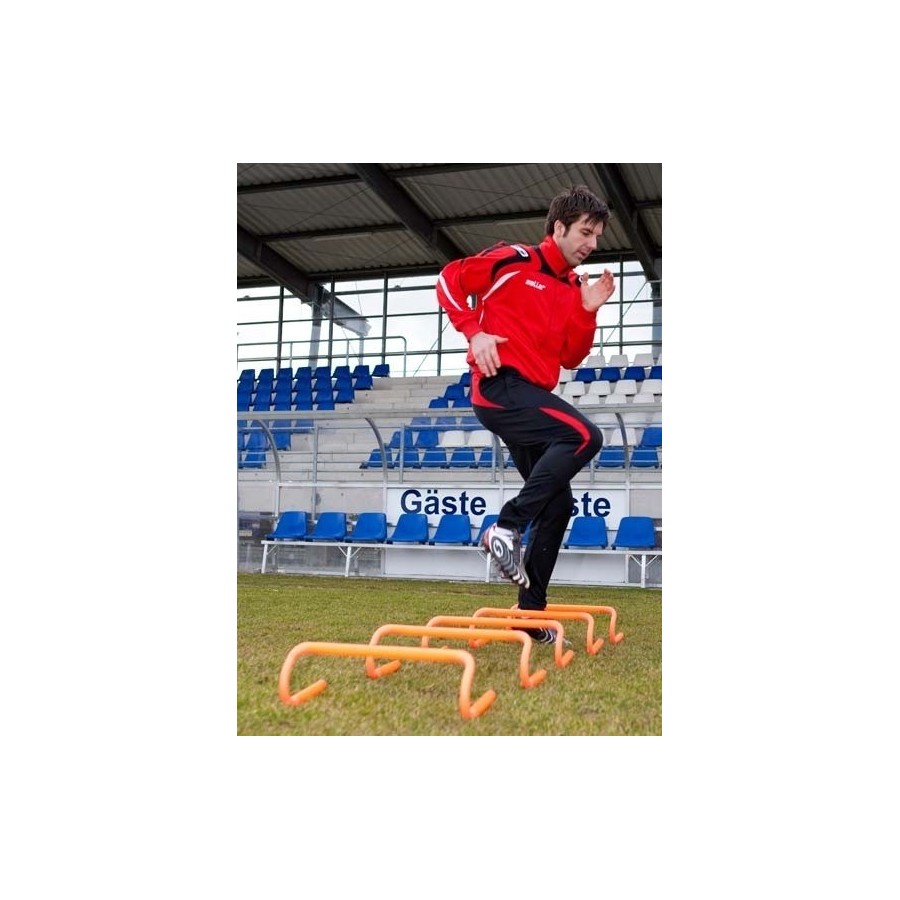 Płotki saller (5 szt) 15 cm