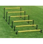 Zestaw płotków saller